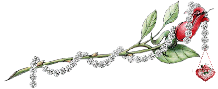 d���n organizasyonu ve �i�ek sipari�i firmalar�